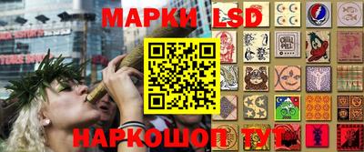 прущие грибы Бузулук