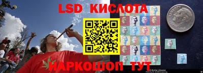 mdpv Будённовск