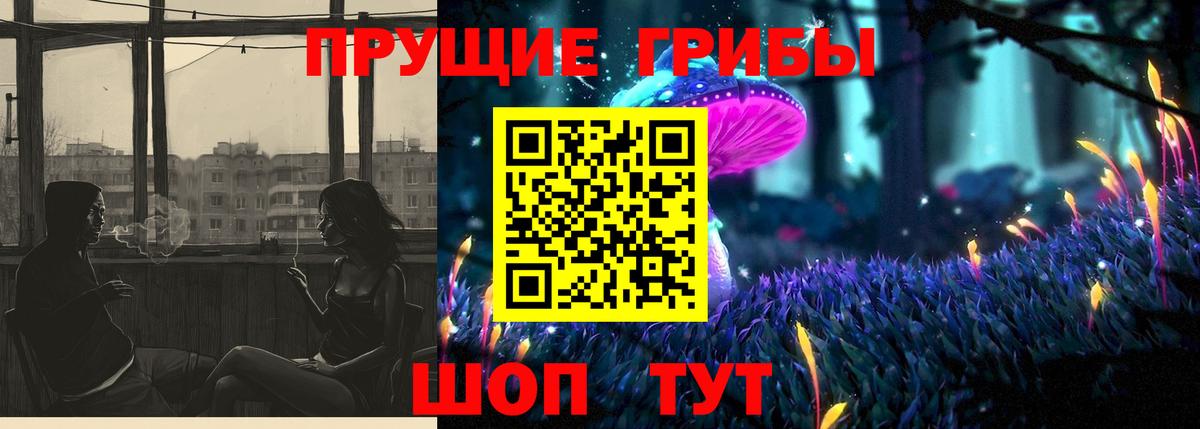 Каменск-Шахтинский  где продают наркотики  Вход с VPN  Галлюциногенные грибы мухоморы 